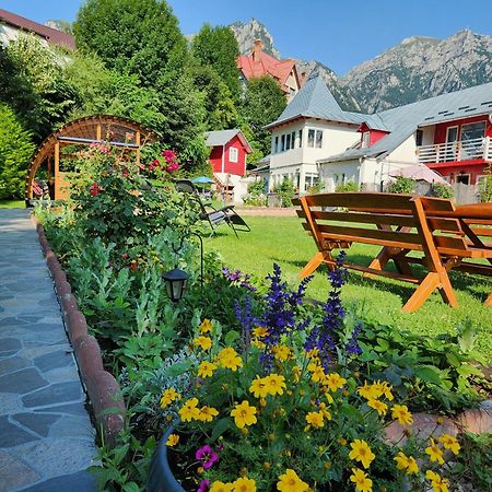 Hotel Casa Turta Dulce Buşteni Zewnętrze zdjęcie