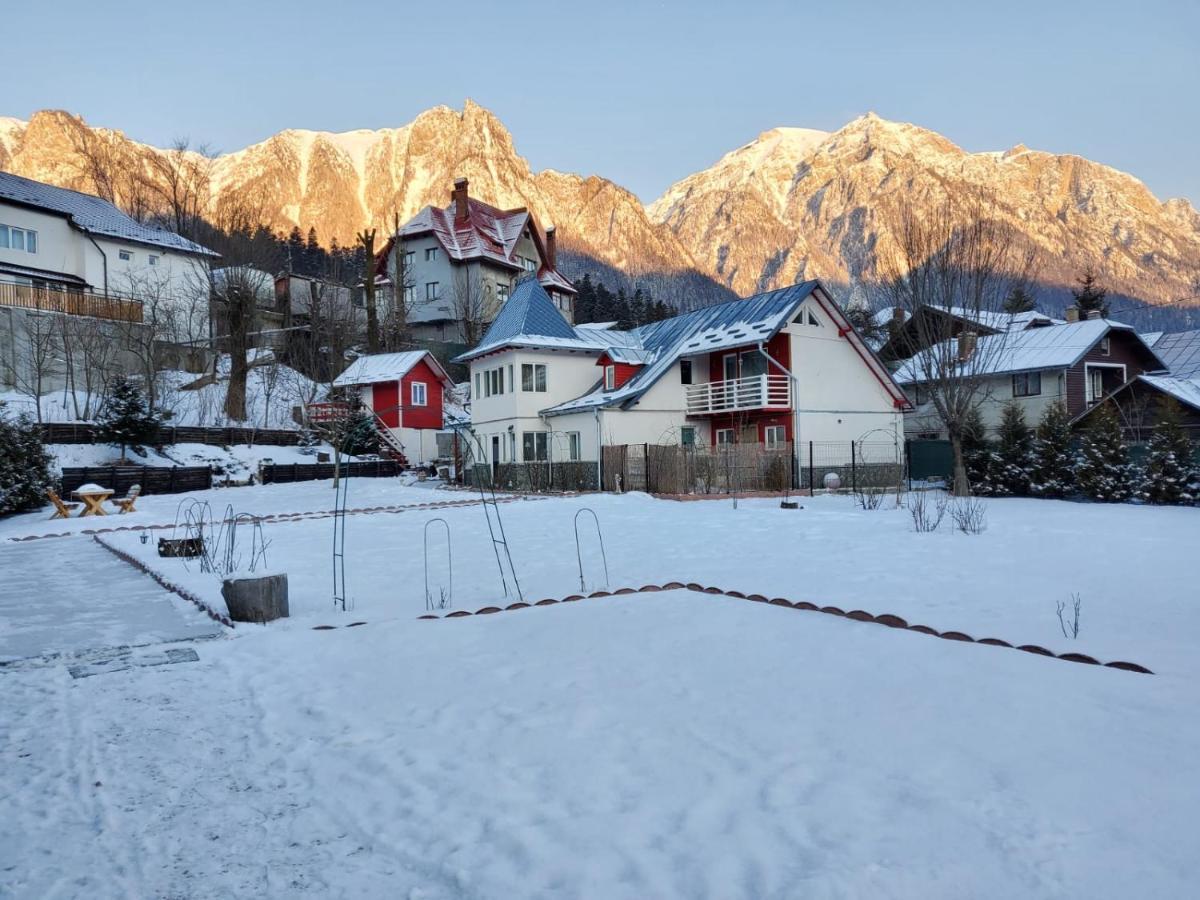 Hotel Casa Turta Dulce Buşteni Zewnętrze zdjęcie