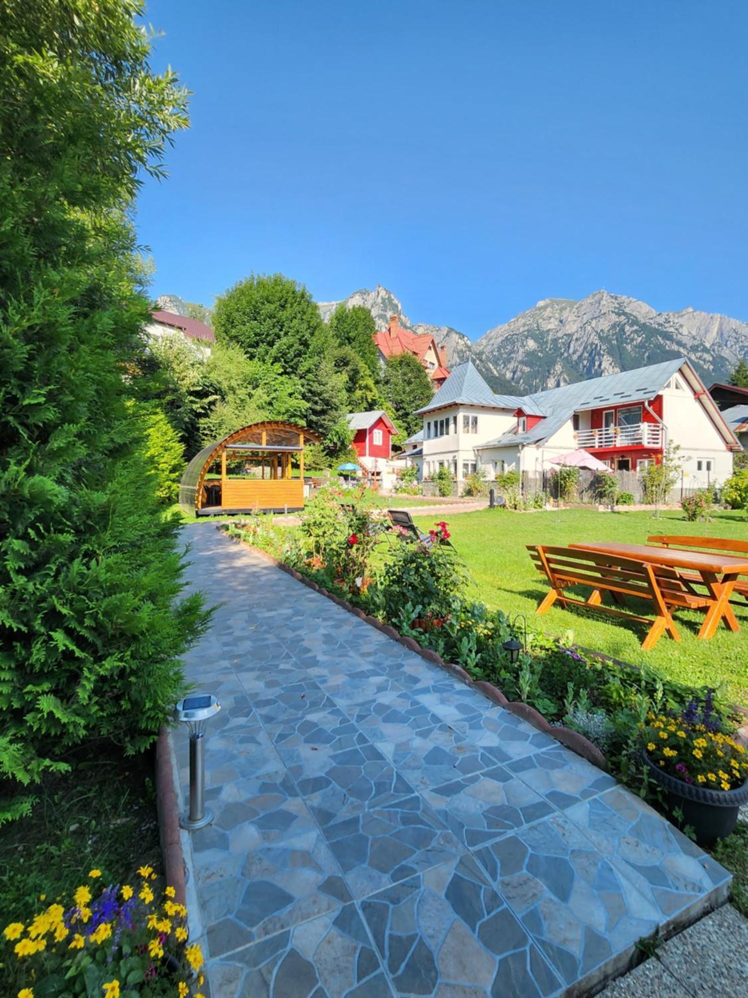 Hotel Casa Turta Dulce Buşteni Zewnętrze zdjęcie