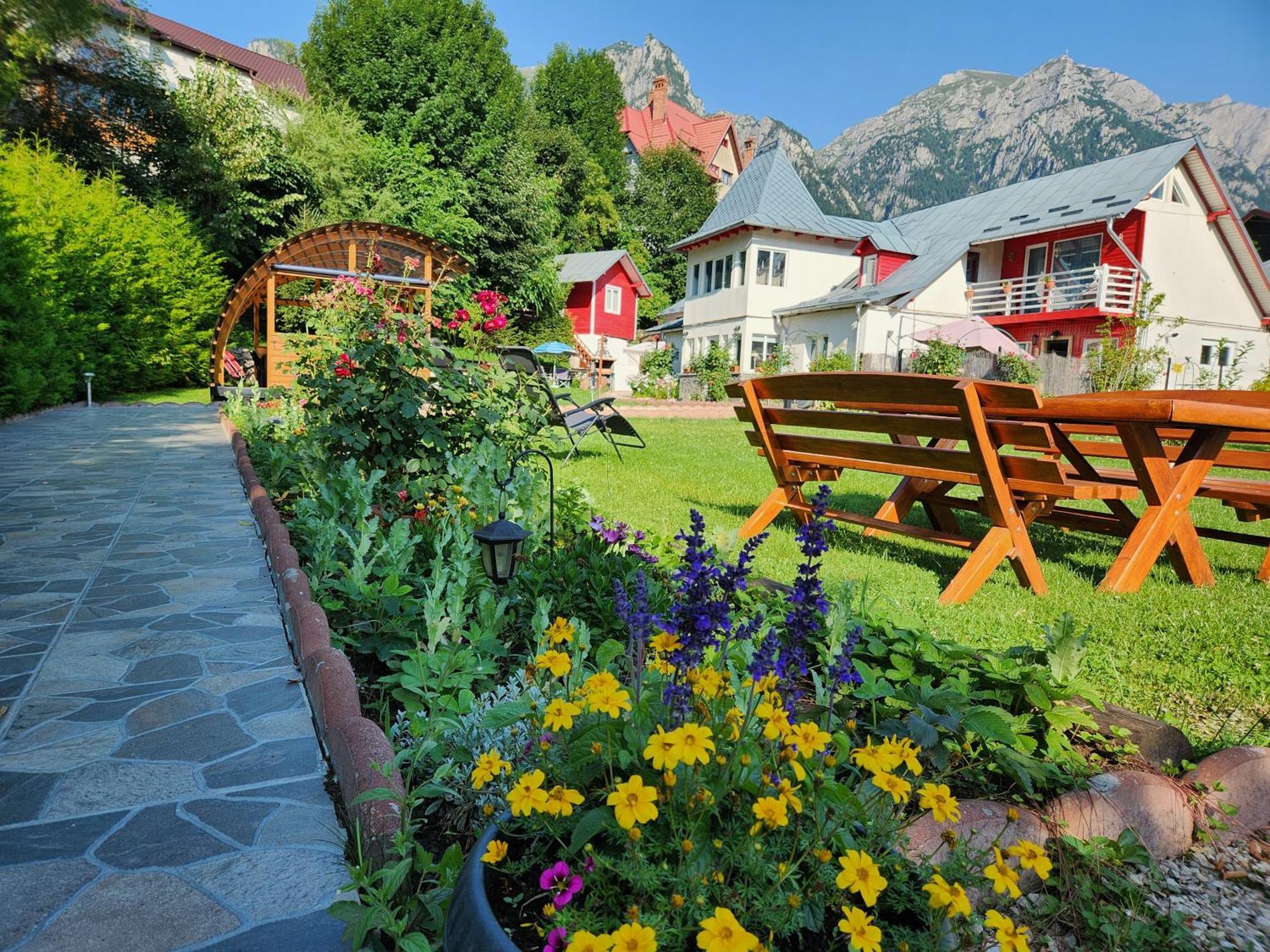 Hotel Casa Turta Dulce Buşteni Zewnętrze zdjęcie